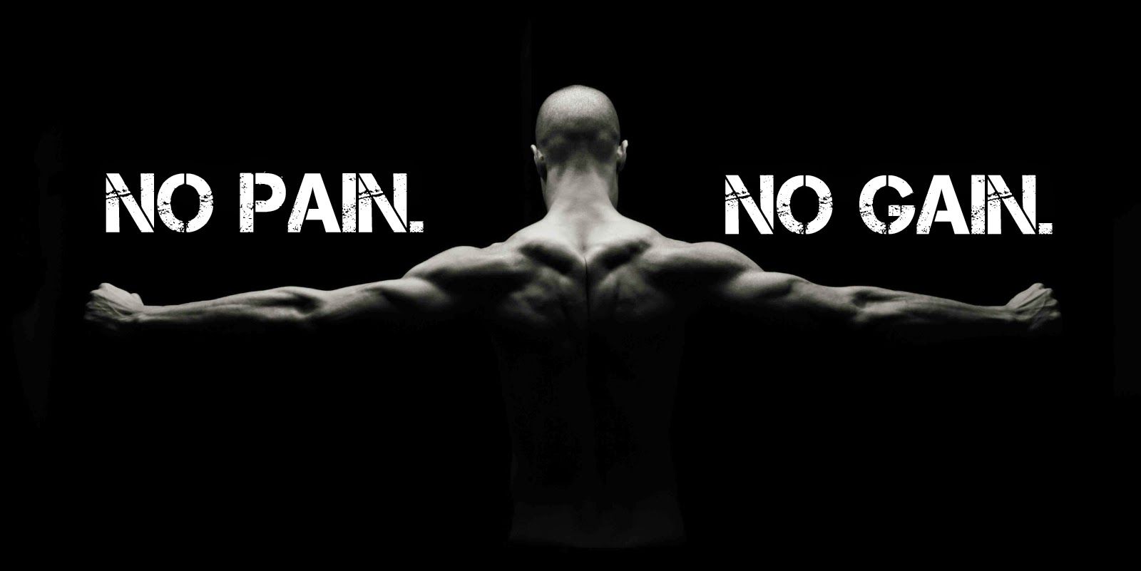  No Pain No Gain Healthy Fitness