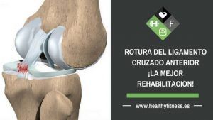 ejercicios recuperacion ligamento cruzado anterior
